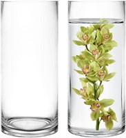 CYS 2 PCS Glass Vase (D:4 H:9)