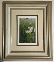 Framed Photograph "Dandelions" 14" x 11"