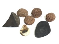 7 Mineral Specimens & Fossils