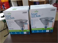 2 FEIT Smart LED Flood Lights.
