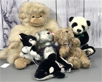 Collectible Stuffed animals- TY