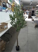 5ft olive tree with realistic looking trunk and