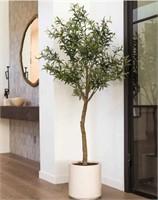 Faux 6.5' Olive Tree retail $ 180 READ INFO