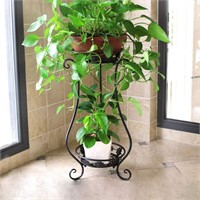 Iron Plant Stand  Indoor/Outdoor  24.4in