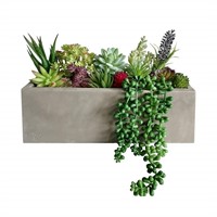 GreenBoxx Tropical Artificial Succulent Plants Pot