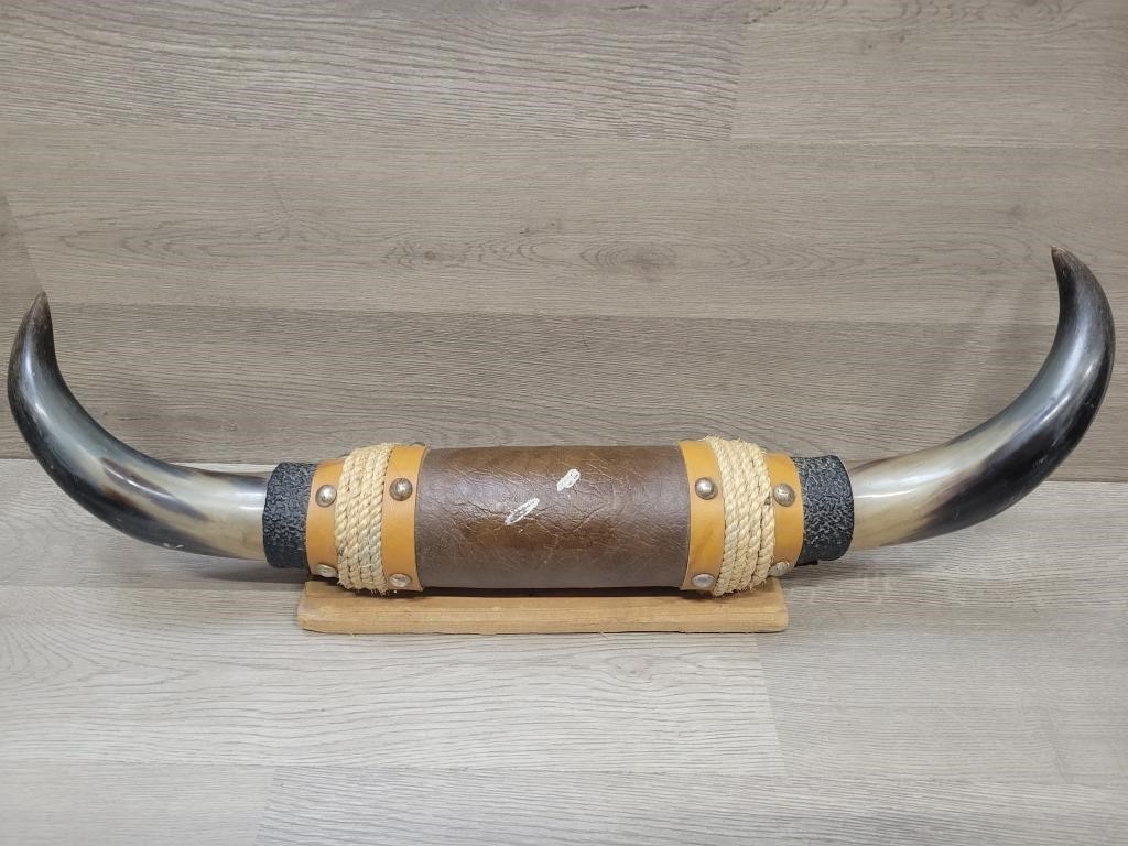 Mounted Long Horns 20"