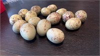 Golden Eagle bird Egg Replicas (16)