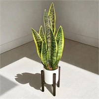 GreenBoxx Faux Snake Plant  27 with Pot