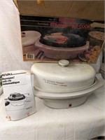 Rival Steamer / Rice cooker