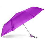 2 Pack Purple Umbrellas *See Inhouse Photos for