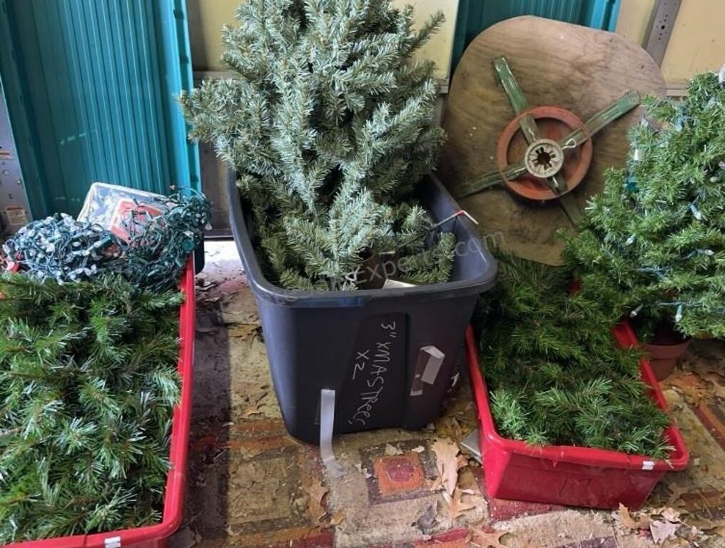 Lot of Christmas Trees Contents Not Verified, AS
