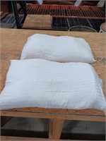 Pillows bed Eiue 20in x 30in /2