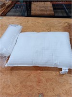 Pillows  2/ 20in x 28in contents in pictures