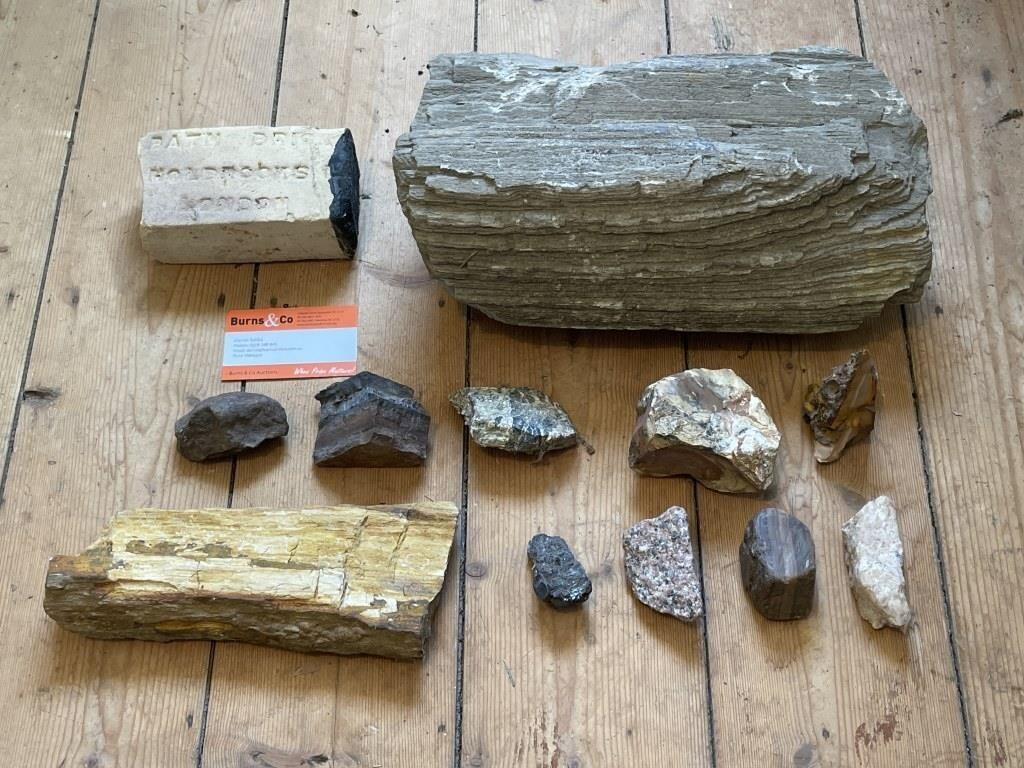Selection Petrified Wood : Old Brick etc