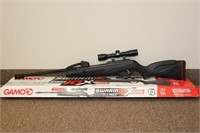 Gamo Swarm Stinger Pellet Gun w/Scope