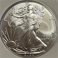 US 2024 Silver Eagle