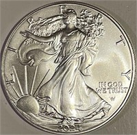 US 2024 Silver Eagle