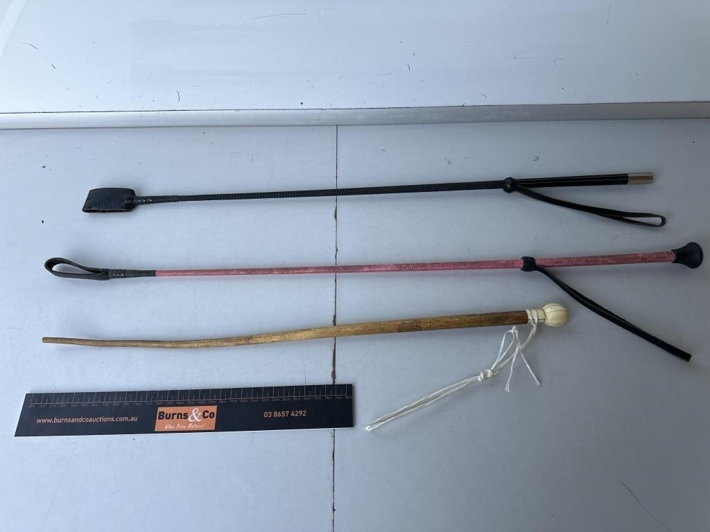 3 x Horse / Pony Whips inc Vintage Timber.