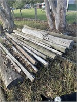 Selection Timber Pine Posts