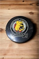 Ferris State hockey puck