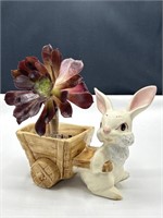 Vintage ceramic bunny planter with live succulent