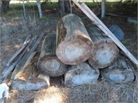 13 Various Timber Logs & Shorts