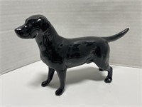 Beswick Black Labrador " Solomen of Wendover “