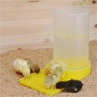 SAFE Chick/Quail Water Dispenser-PREVENT DROWNING!