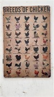 Breeds Of Chicken Metal Sign