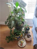 LOT OF 5 POTTED PLANTS