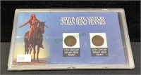 Coins - 19th and 20th century Indian head pennies