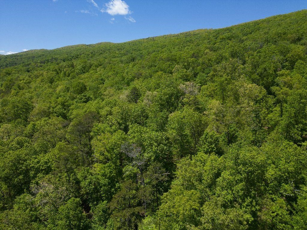 481.01 Acres Highway 25E Bean Station, Tennessee 37708