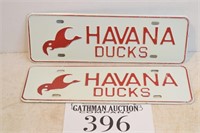 (2) Havana Ducks License Plates