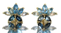 10kt Gold Natural 1.20 ct Blue Topaz Earrings