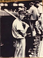 Young TED WILLIAMS Photo