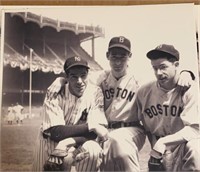 Ted Willaims & DiiMaggio Boys Photo