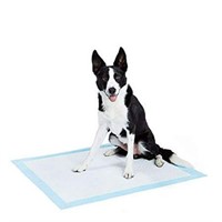 Basics Dog and Puppy Pee, Potty Training Pads, X-L