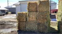 Irrigated Grass, 650 pounds