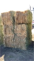 Irrigated Grass, 650 pounds