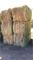Irrigated Grass, 650 pounds