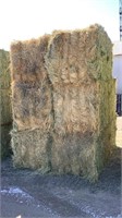 Irrigated Grass, 650 pounds