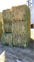 3rd cutting Alfalfa, 725 pounds