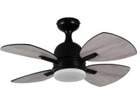 Homeybuff Ceiling Fan With Light