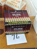 Federal 223 Rem Ammo - 100 Rounds