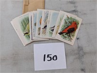 Useful Birds of America Cards
