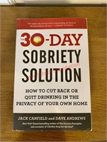 The 30-Day Sobriety Solution Book (Madison)