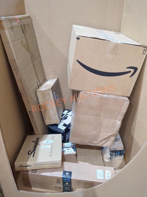 Flash Amazon Pallet Online Auction