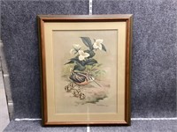 American Woodcock and Young Framed Art