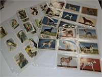 Dog & Bird Collector Cards