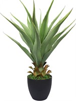 27" H Sansevieria Snake Plant